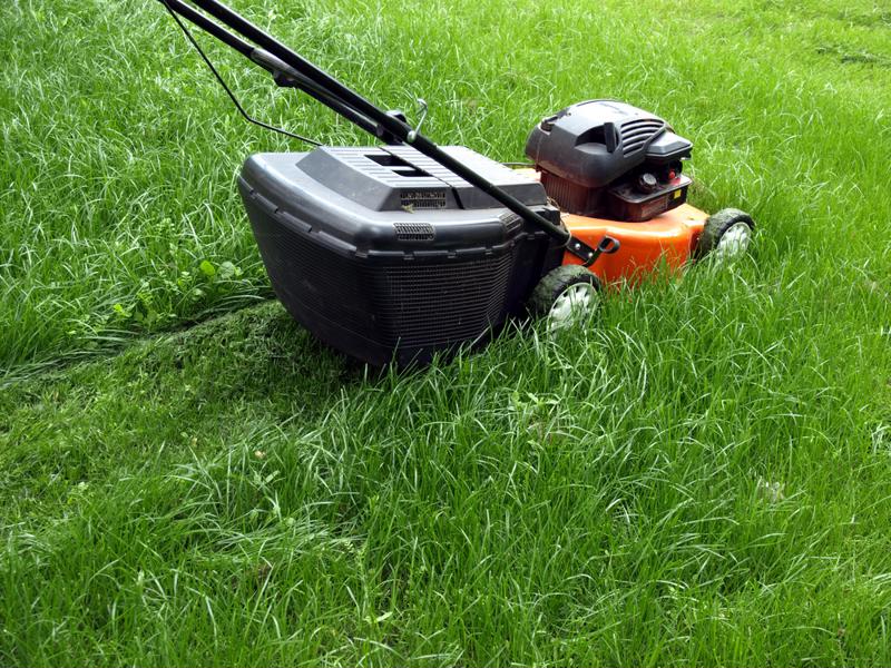 Good luck pushing your mower through thick stuff on your own.