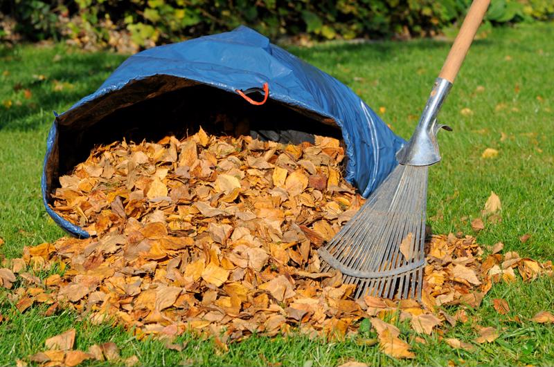 Leaves shouldn't stop you from mowing your lawn regularly.