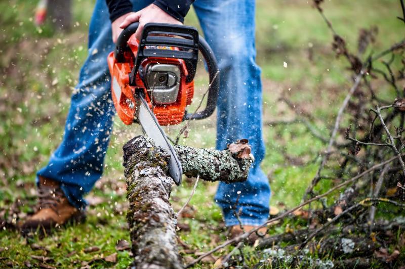 With a little maintenance, even you can feel like a master logger.