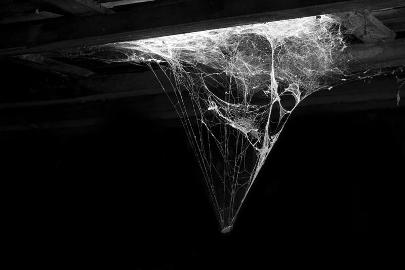 Spiderwebs can hurt the appearance of your building in warm weather. 