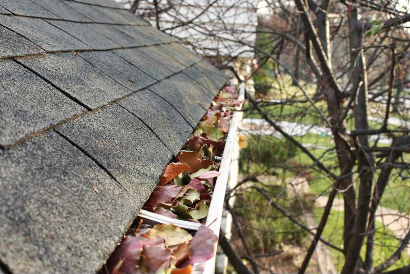 Leaves can get stuck in your gutters all winter, causing ice dams and other problems.