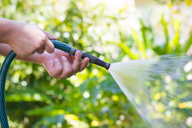 How you water your lawn can have a big impact on how it looks.
