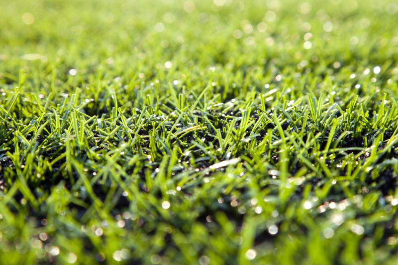 Press your grass for the best looking lawn on the block.