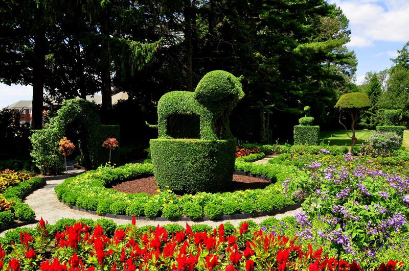 Use your imagination to create an envy-inspiring garden. 
