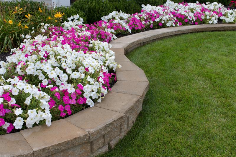 Edging makes your landscaping more efficient and look more professional. 