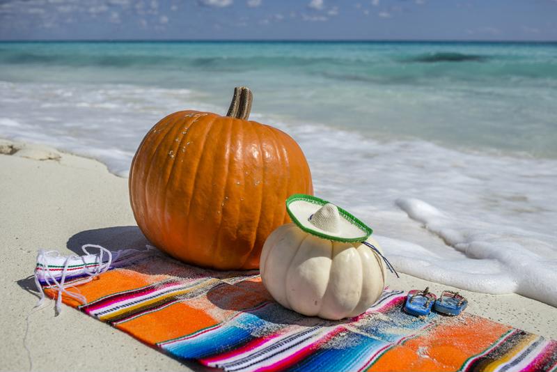 How to Celebrate Thanksgiving on the Beach - Margaritaville Cargo