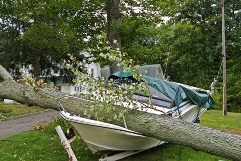 If you don't take care of damaged tree limbs, they'll take care of you.