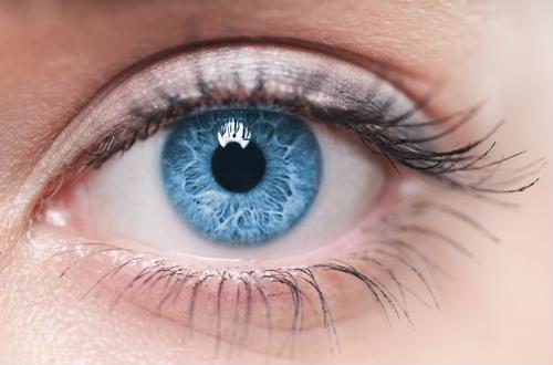 Bionic eye technology could one day restore vision to the sightless.