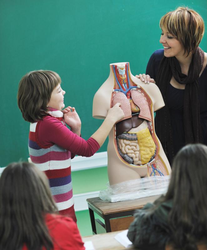Travel nurses can participate in local health education programs to benefit their communities. 