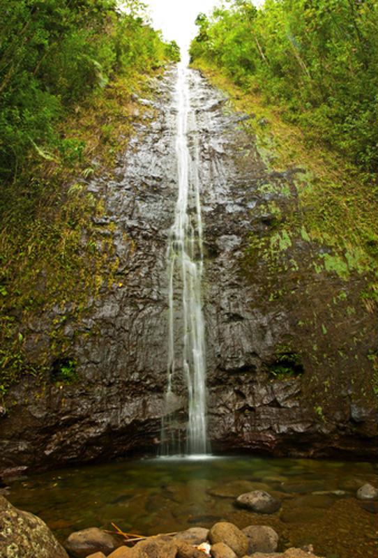 The Manoa waterfall is one of the top ecotourism spots on Oahu. 