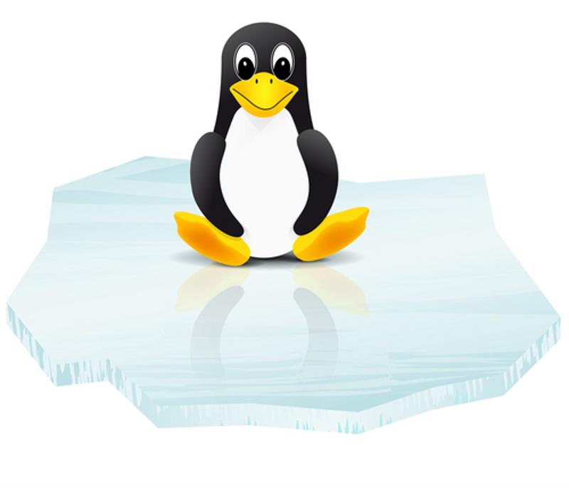 Companies should not adopt Linux unless they are prepared to thoroughly train all employees in the OS. 