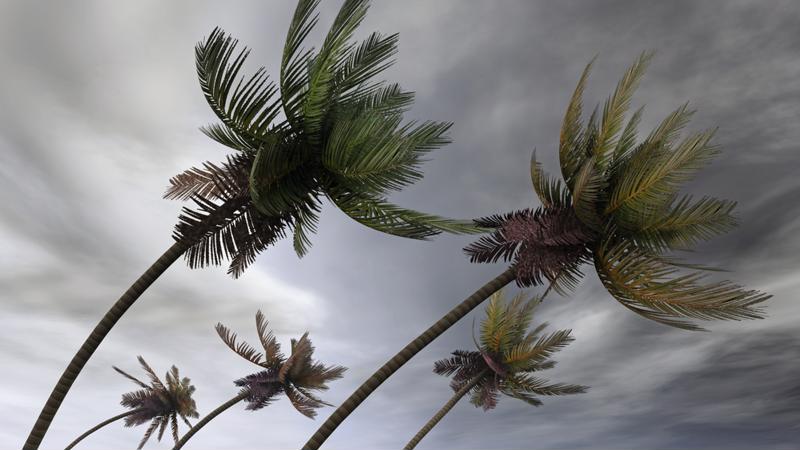 Storms and hurricanes can be extremely destructive, and especially impact the roof of your building.