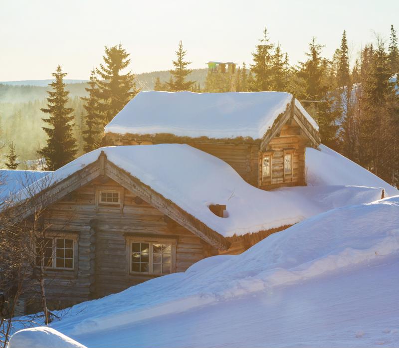Tankless water heaters are perfect for cabin's limited size structure.