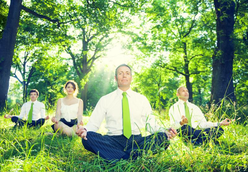 Office workers are meditating in a forest, with the sun shining through the trees.