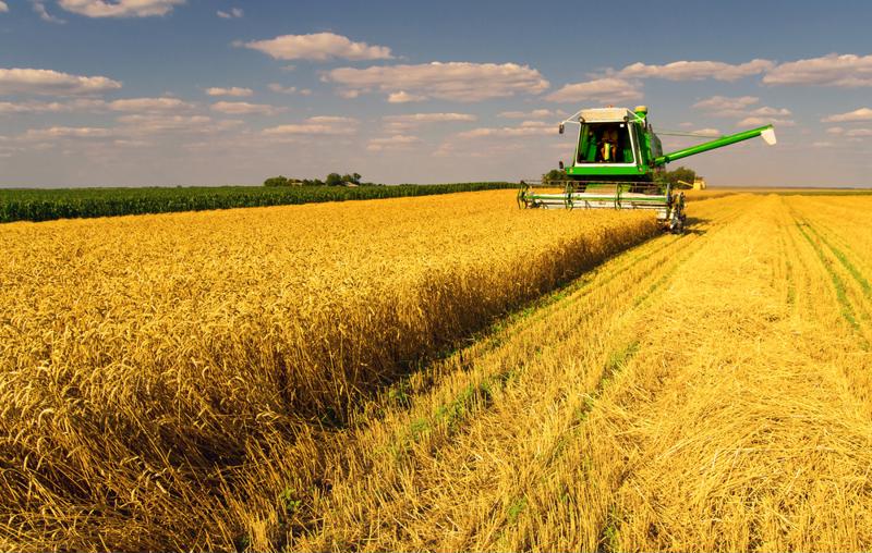Nearly a third of the world's wheat comes from Russia and Ukraine. 