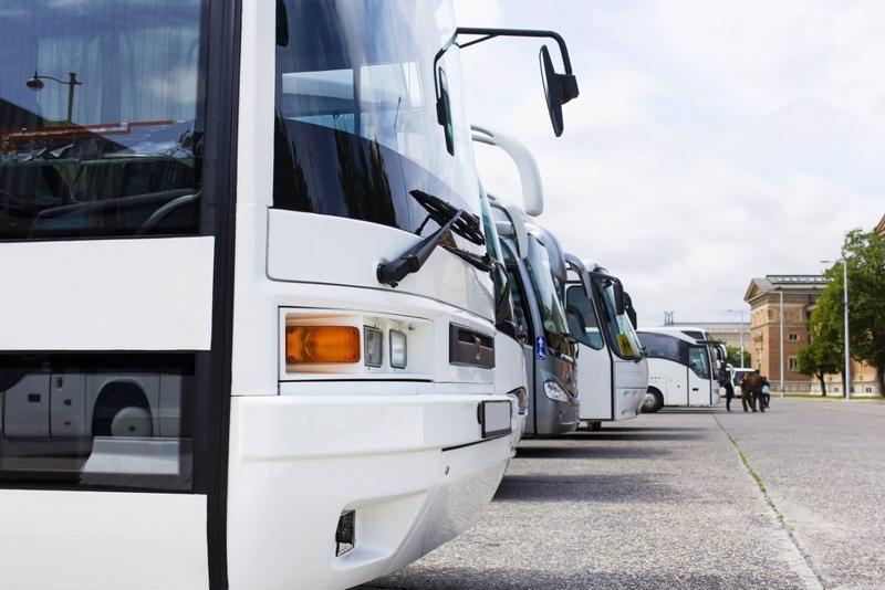 Transportation buses lined up in a parking lot