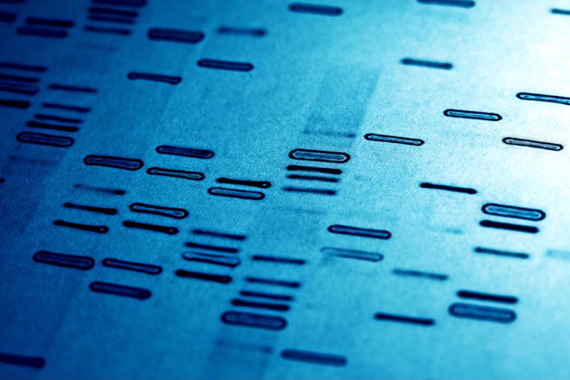 DNA may hold the secret to storing massive amounts of information.