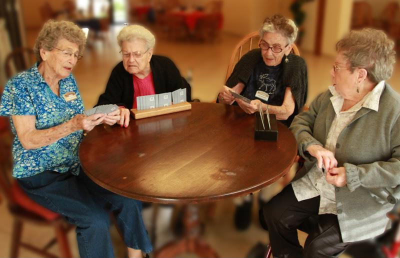 Volunteering can help seniors make new friends. 
