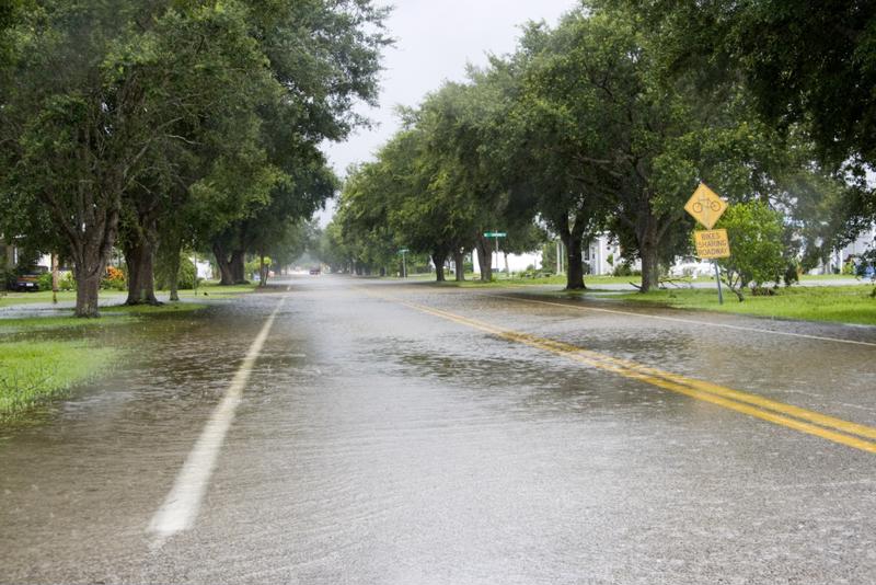 Flooding risk can be a serious concern for homeowners.