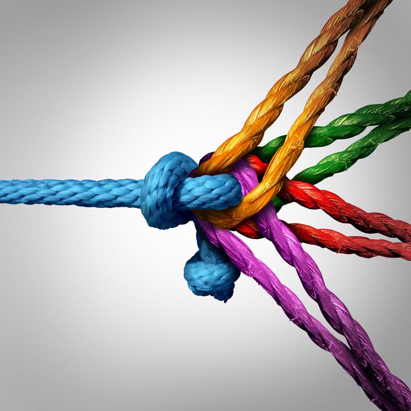 One large blue rope, tied to several smaller ropes of different colors. 